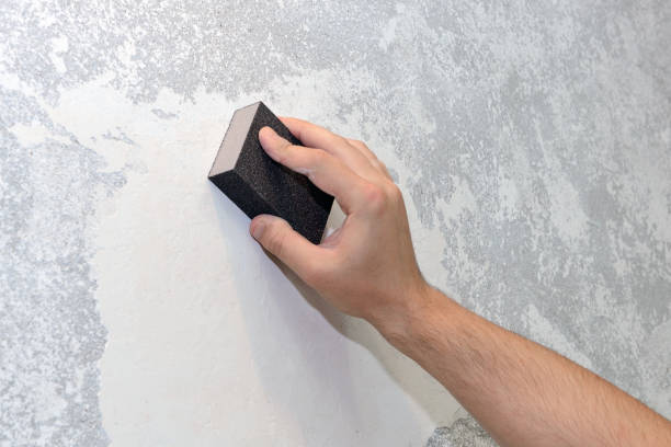 Best Black Mold Removal  in Vergennes, VT