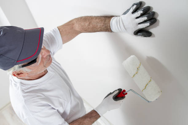 Reliable Vergennes, VT Mold Removal Solutions