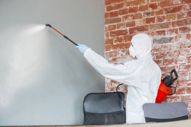 Biohazard Mold Removal in Vergennes, VT