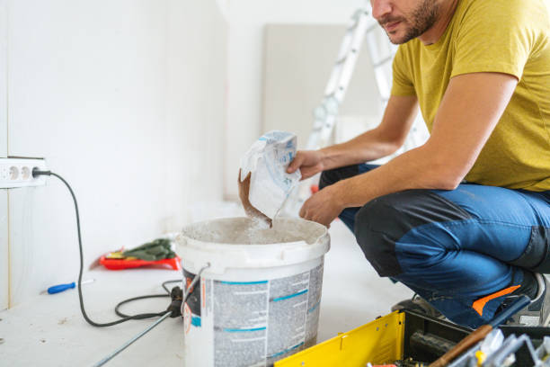 Best Crawl Space Mold Remediation  in Vergennes, VT