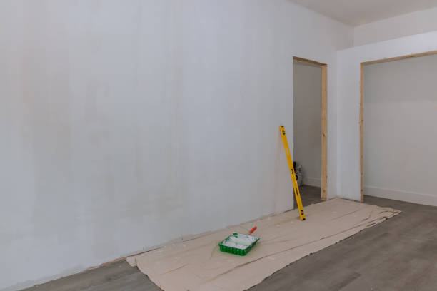 Best Dehumidification Services  in Vergennes, VT