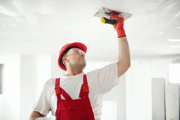 Best Mold-Related Health Consultation  in Vergennes, VT