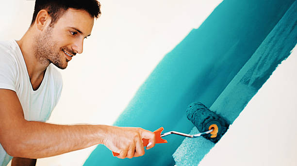 Best Mold Removal for HVAC Installations  in Vergennes, VT