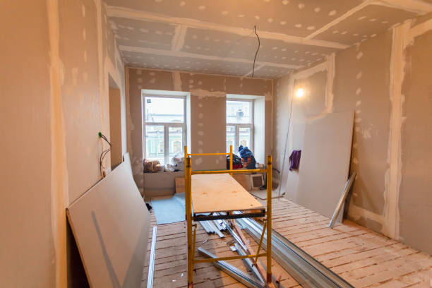 Best Forensic Mold Investigation  in Vergennes, VT